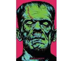 KNYGA Mary Shelley Shelley Mary Frankenšteinas