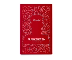 KNYGA Shelley, Mary Frankenšteinas