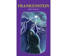 KNYGA Shelley Mary Frankenšteinas