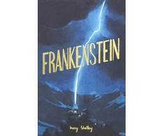 KNYGA Mary Shelley Shelley Mary Frankenšteinas