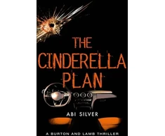 KNYGA Silver, Abi Cinderella Plan: A legal thriller with a topical AI twist