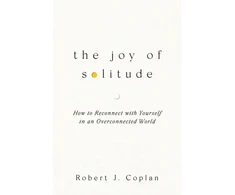 KNYGA Simon Schuster Joy of Solitude