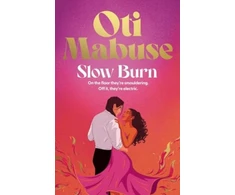 KNYGA Simon Schuster Uk Slow Burn