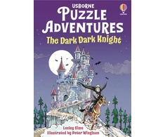 KNYGA Bookshop Sims Lesley Dark Dark Knight