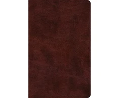 KNYGA Society for Promoting Christian Knowledge ESV Large Print Thinline Bible