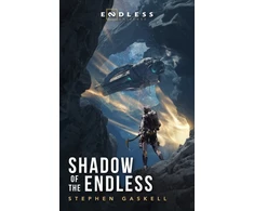 KNYGA Stephen Gaskell Shadow of the Endless