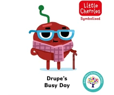 KNYGA Steve James Drupe Busy Day: Accessible Symbolised Edition
