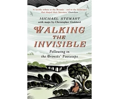 KNYGA Stewart, Michael Walking The Invisible