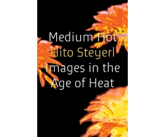 KNYGA Steyerl Hito Medium Hot: Images in the Age of Heat