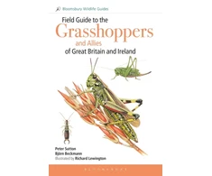 KNYGA Bjorn Field Guide to the Grasshoppers and Allies of Great Britain and Ireland: Grasshoppers, Crickets, Earwigs, Cockroaches, Mantids and Stick-insects