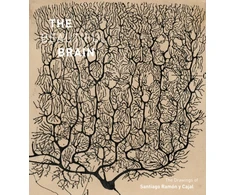 KNYGA Swanson Beautiful Brain: The Drawings of Santiago Ramon y Cajal