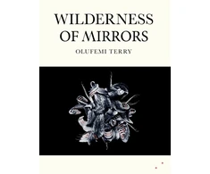 KNYGA Terry, Olufemi Wilderness of Mirrors