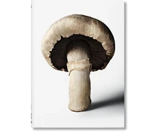 KNYGA The Gourmand Gourmand's Mushroom