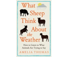 KNYGA Bookshop Thomas Amelia What Sheep Think About the Weather: How to listen to what animals are trying to say