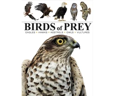 KNYGA Tom Jackson Birds of Prey