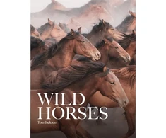 KNYGA Tom Jackson Wild Horses
