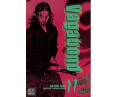 KNYGA Vagabond (VIZBIG Edition), Vol. 11