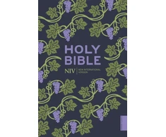 KNYGA Version New NIV Holy Bible (Hodder Classics)