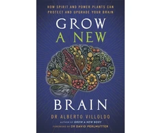 KNYGA Villoldo Alberto Grow a New Brain: How Spirit and Power Plants Can Protect and Upgrade Your Brain