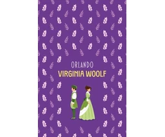 KNYGA Virginia Woolf Orlando