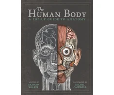 KNYGA Walker, Richard The Human Body: A Pop-Up Guide to Anatomy