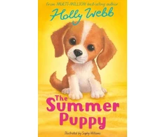 KNYGA Webb, Holly Summer Puppy