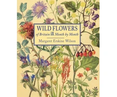 KNYGA Margaret Erskine Wilson Wild Flowers of Britain: Month by Month
