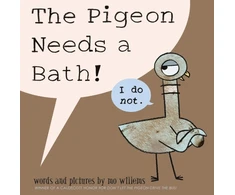 KNYGA Willems Mo Pigeon Needs a Bath