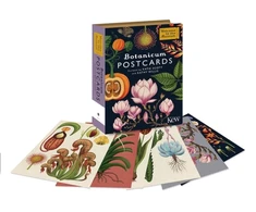 KNYGA Willis, Kathy Botanicum Postcards