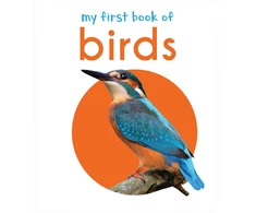KNYGA Wonder House Books My First Book of Birds: First Board Book