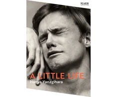 KNYGA Yanagihara Hanya Little Life