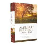 KNYGA Zondervan Amplified Holy Bible, Large Print, Hardcover