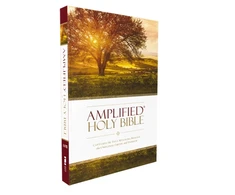 KNYGA Zondervan Amplified Holy Bible, Paperback