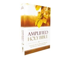 KNYGA Zondervan Amplified Outreach Bible, Paperback: Capture the Full Meaning Behind the Original Greek and Hebrew