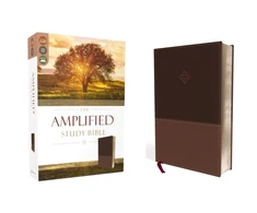KNYGA Zondervan Amplified Study Bible, Leathersoft, Brown