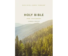 KNYGA Zondervan NKJV Large Print Outreach New Testament Bible, Scenic Softcover, Comfort Print