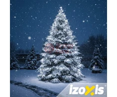 500 LED lempučių girlianda IZX02 35M CW