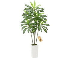 Dirbtinė dracena. 1829 mm. su aukštu baltu vazonu. tropinė palmė vidaus ir lauko dekorui