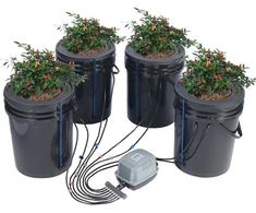 DWC hidroponinė auginimo sistema. 20 l. 4 kibirai. su oro siurbliu