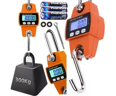 Kraninės svarstyklės CraneScale CS3 BERIMAX 300 kg, 100 g