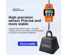 Kraninės svarstyklės CraneScale CS3 BERIMAX 300 kg, 100 g