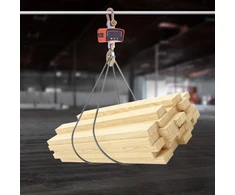Kraninės svarstyklės WeighPro Lift BERIMAX 3000 kg