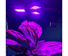 LED augalų lempa 108 LED Gardlov 20440