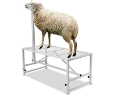 Ožkų/avių melžimo ir kirpimo stovas 1195 x 584 mm. reguliuojamo aukščio. su galvos fiksatoriumi