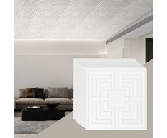 Pakabinamos lubos plokštės. 605x605 mm. 12 vnt.. plastikinės. balta spalva