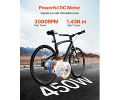 Šepetėlinio nuolatinės srovės variklio rinkinys. 450 W. 36 V. 3000 aps/min. el. dviračiams. motoroleriams