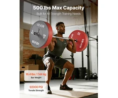 Štangos grifas 1200 mm. 50 mm diskams. chromuotas. rifliuota rankena. apkrova iki 226.8kg