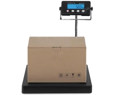 Svarstyklės Platforminė svarstyklė Steinberg 75 kg 10 g Lcd ekranas 40x40 cm