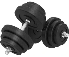 Aosom 40 kg hantelių rinkinys, 2 metalinės rankenos, 12 svorio diskų, juodas