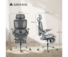 Aosom Ergonominė biuro kėdė su tinkliniu atlošu, juosmens atrama ir 4D pakeliamais porankiais, pilka, 67 x 74 x 113-132 cm